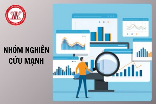 Nhóm nghiên cứu mạnh trong cơ sở giáo dục đại học được hưởng ưu đãi nào từ cơ sở giáo dục đại học từ 06/4/2026?