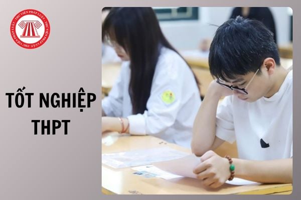 Đề thi thử Tiếng Anh tốt nghiệp THPT 2026 Ninh Bình lần 3 chi tiết như thế nào?