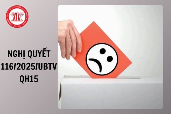 Toàn văn Nghị quyết 116/2025/UBTVQH15 về tiếp công dân, giám sát của Quốc hội và HĐND đối với việc giải quyết khiếu nại tố cáo ra sao?