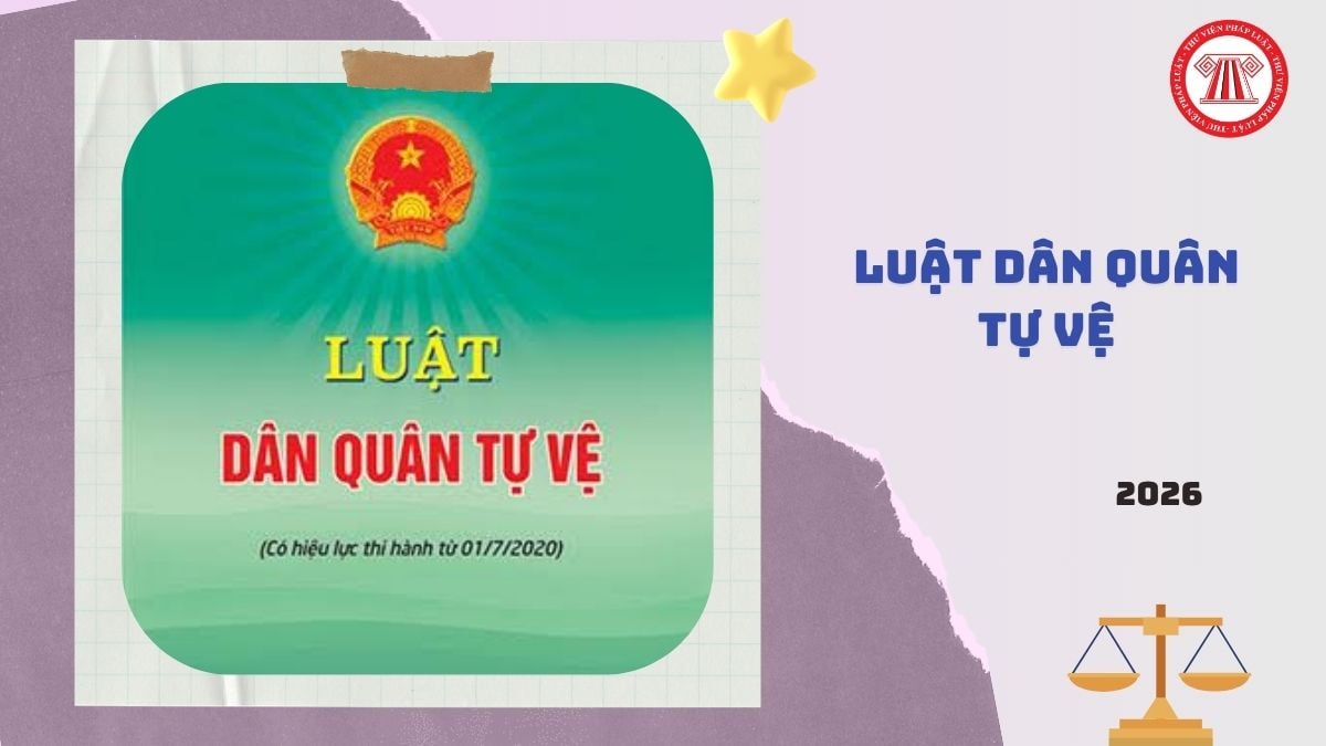 Hỏi đáp Pháp luật