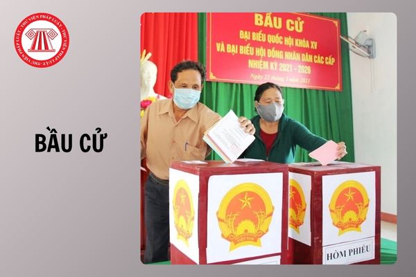 Hỏi đáp Pháp luật