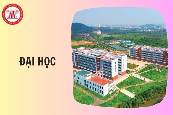 Trình tự thu hồi giấy chứng nhận kiểm định chất lượng cơ sở giáo dục đại học thế nào?
