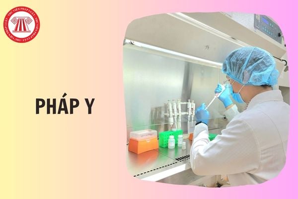Hỏi đáp Pháp luật