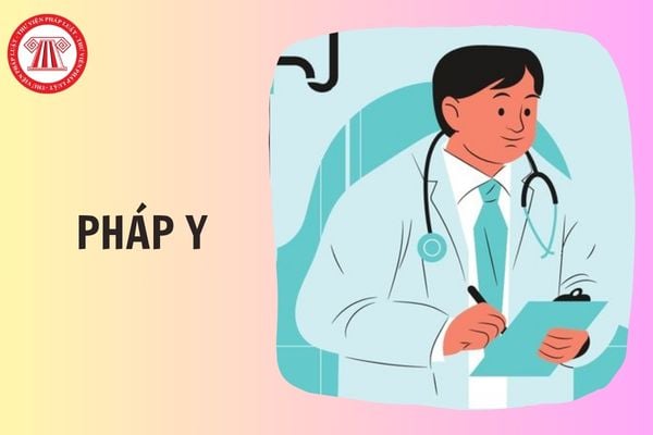 Hỏi đáp Pháp luật