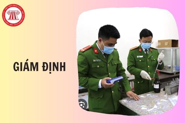 Hỏi đáp Pháp luật