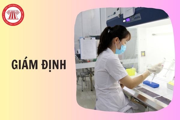 Quy trình giám định tử thi khai quật từ 1/5/2026 chi tiết thế nào?