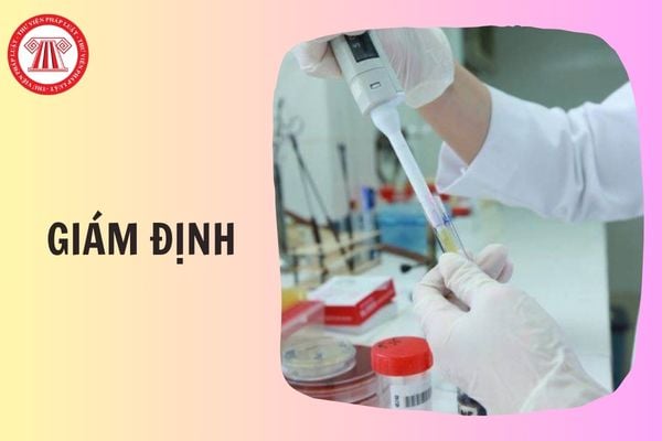 Hỏi đáp Pháp luật