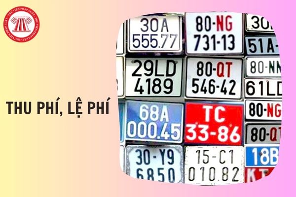 Hỏi đáp Pháp luật