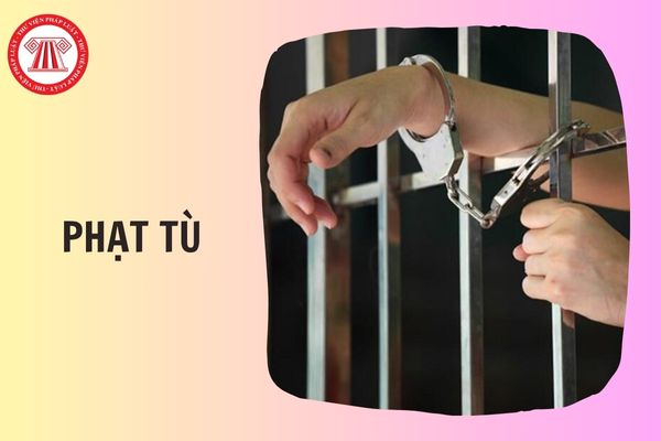 Hỏi đáp Pháp luật