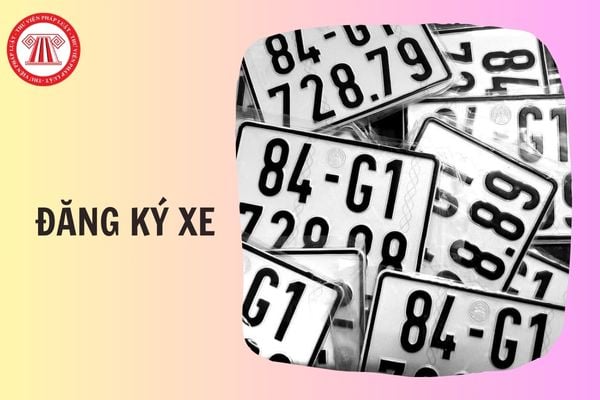 Hỏi đáp Pháp luật