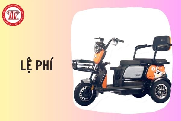 Hỏi đáp Pháp luật