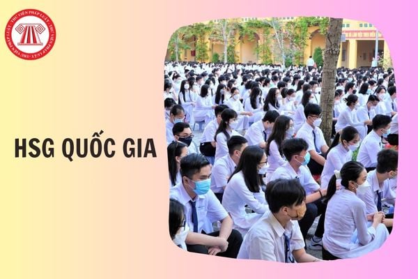 Kết quả HSG Quốc gia 2026 tỉnh Quảng Ninh chi tiết như thế nào?