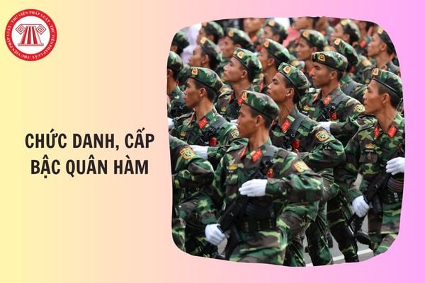 Sửa đổi các chức danh, cấp bậc quân hàm được tổ chức Lễ tang Cấp cao dự kiến thế nào?