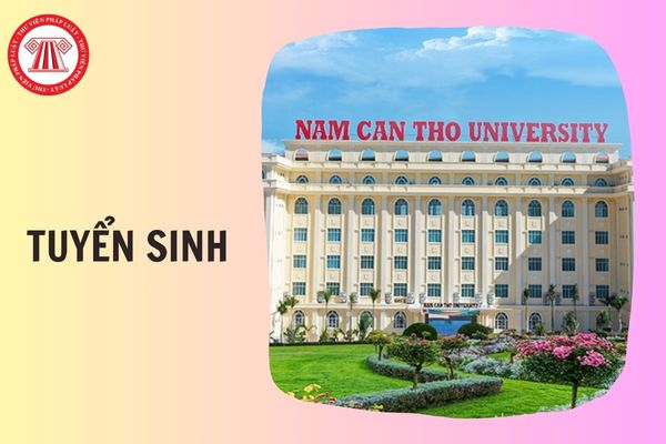 Đề án tuyển sinh Trường đại học Nam Cần Thơ 2026 chi tiết thế nào?