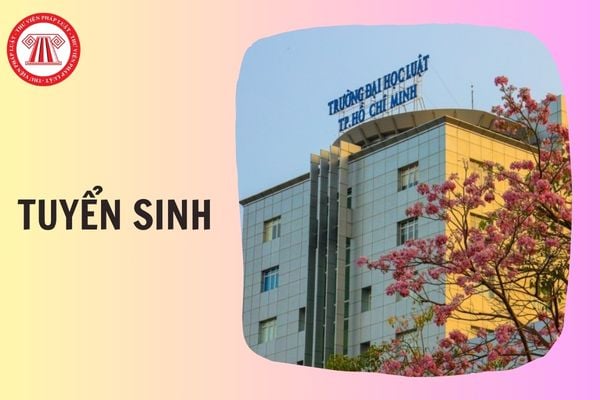 Hỏi đáp Pháp luật