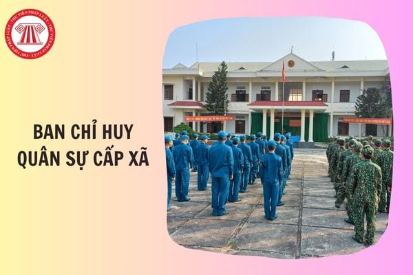 Hỏi đáp Pháp luật