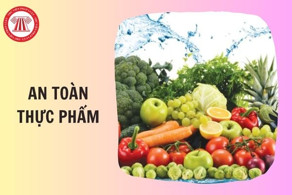 PHỤ LỤC Nghị định 46/2026/NĐ-CP hướng dẫn Luật An toàn thực phẩm ra sao?