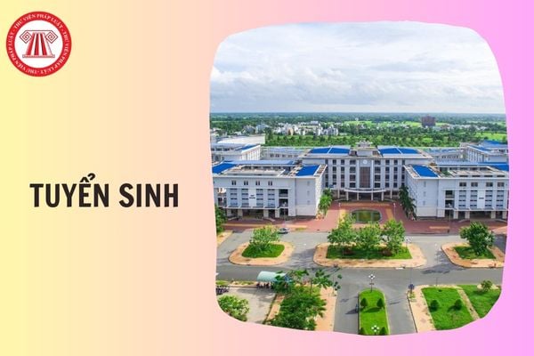 Hỏi đáp Pháp luật