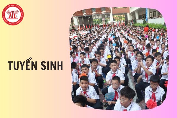 Hỏi đáp Pháp luật