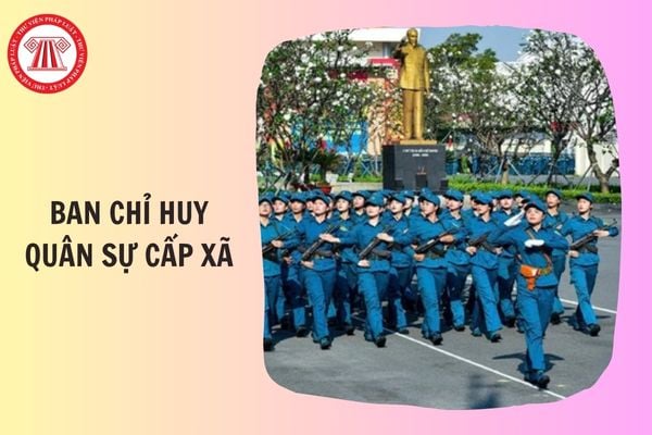 Hỏi đáp Pháp luật