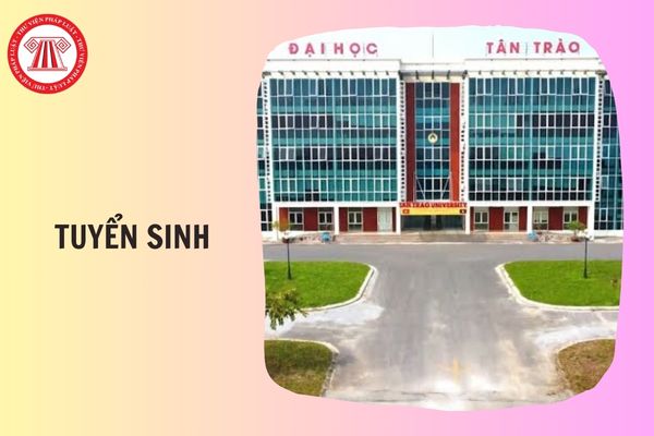 Thông tin tuyển sinh Trường Đại học Trân trào 2026 thế nào?