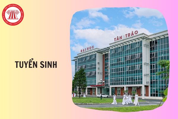 Hỏi đáp Pháp luật