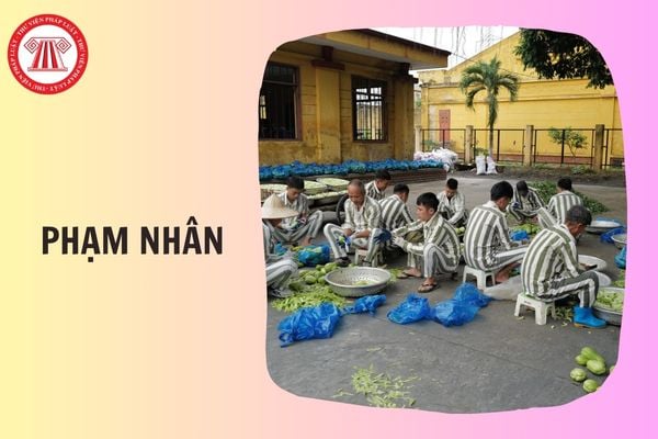Hỏi đáp Pháp luật