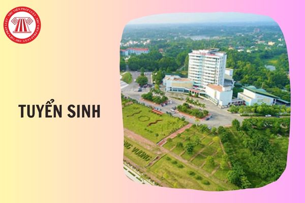 Trường Đại học Hùng Vương tuyển sinh 2026 gồm những ngành nào?