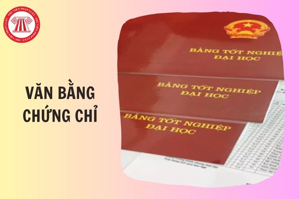 TOÀN VĂN Thông tư 10/2026/TT-BGDĐT về quy chế văn bằng, chứng chỉ của hệ thống giáo dục quốc dân thế nào?