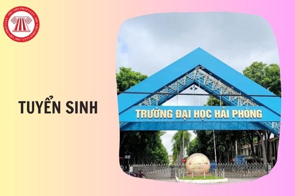 Trường Đại học Hải Phòng tuyển sinh 2026 gồm những ngành nào?