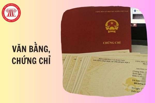 Hỏi đáp Pháp luật