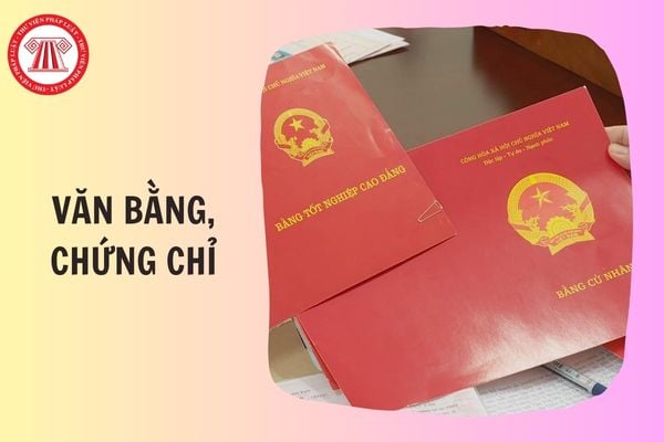Hỏi đáp Pháp luật