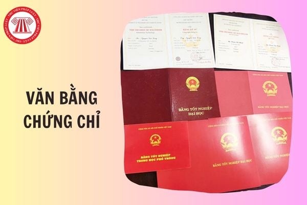 Quyết định thu hồi, hủy bỏ văn bằng chứng chỉ của hệ thống giáo dục quốc dân gồm các nội dung chính gì?