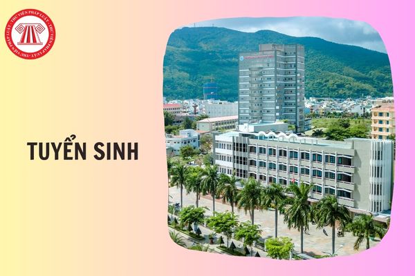 Thông tin tuyển sinh Trường Đại học Quy Nhơn 2026 thế nào?