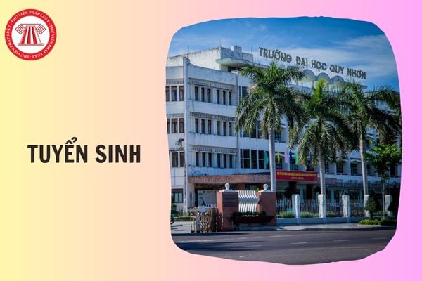 Trường Đại học Quy Nhơn tuyển sinh 2026 gồm những ngành nào?