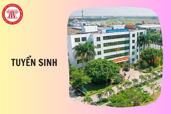Trường Đại học Thái Bình tuyển sinh 2026 gồm những ngành nào?