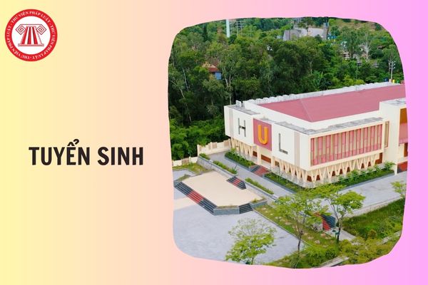 Trường Đại học Luật Huế tuyển sinh 2026 gồm những ngành nào?