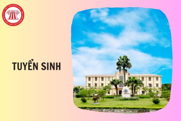 Trường Đại học Thành Đông tuyển sinh 2026 gồm những ngành nào?