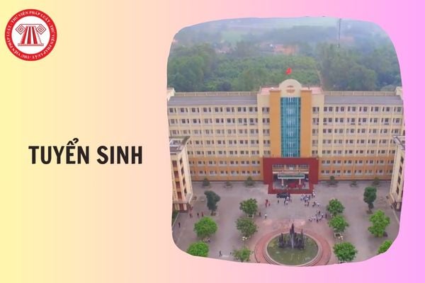 Hỏi đáp Pháp luật