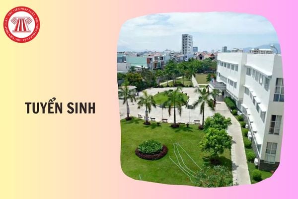 Hỏi đáp Pháp luật