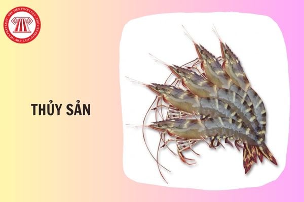 Thời hạn sử dụng giống thủy sản bố mẹ là bao lâu?