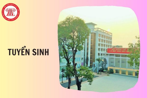 Hỏi đáp Pháp luật
