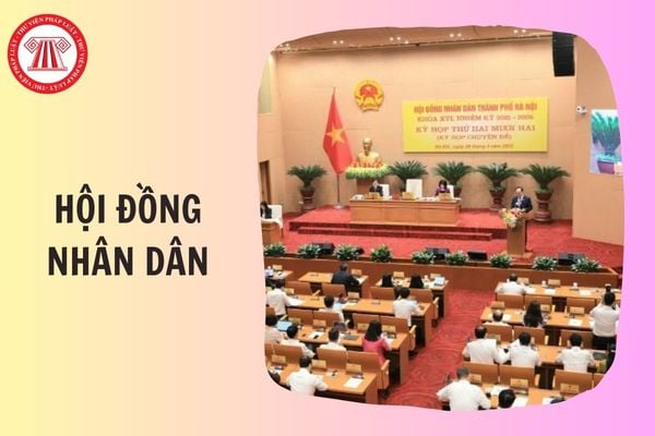 Hỏi đáp Pháp luật