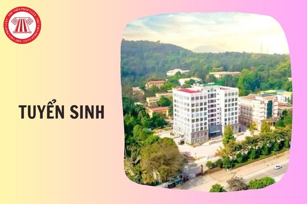 Thông tin tuyển sinh Trường Đại học Lâm nghiệp 2026 thế nào?