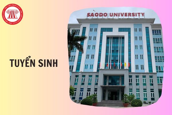Thông tin tuyển sinh Trường Đại học Sao Đỏ 2026 thế nào?