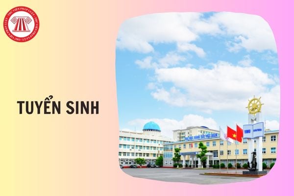 Thông tin tuyển sinh Trường Đại học Hàng hải Việt Nam 2026 thế nào?