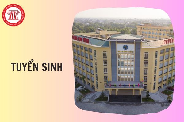 Hỏi đáp Pháp luật