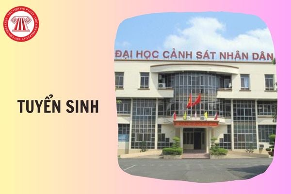 Hỏi đáp Pháp luật
