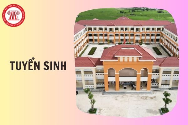 Hỏi đáp Pháp luật