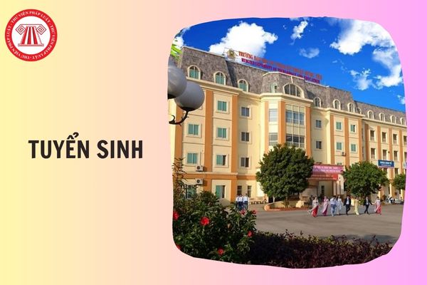 Hỏi đáp Pháp luật